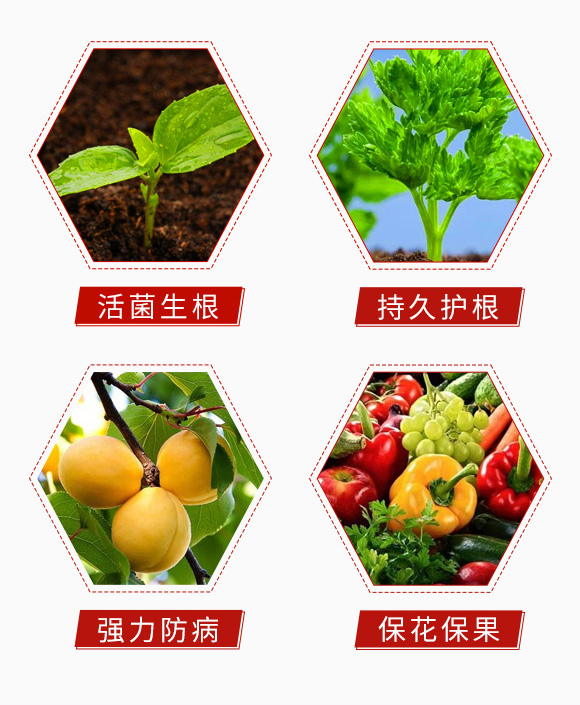 �������-�ͅf(xi��)����_05