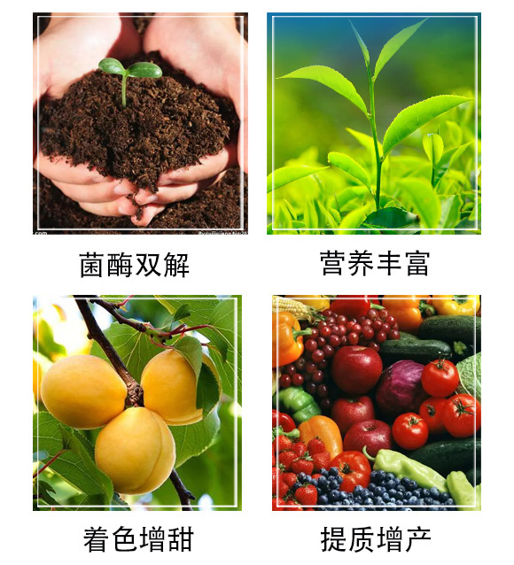 �������Z-�ͅf(xi��)����_03