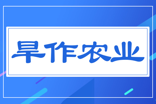 �����r(n��ng)�I(y��)