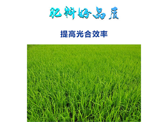 �������������0-400-450-�Θ�(l��)��-���˺�_05