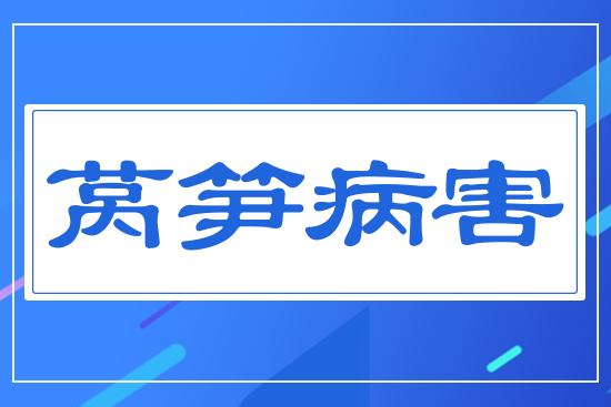 ���n�S����