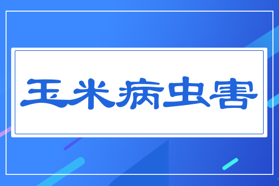 ���ײ��x��