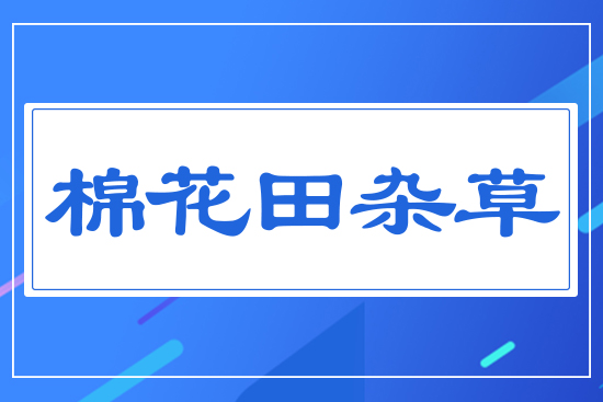 �޻����s��