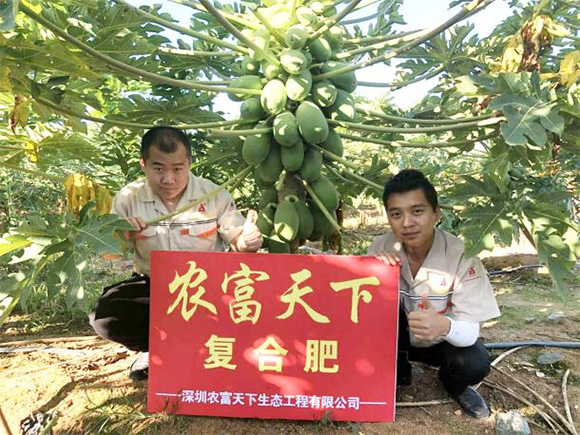 �������������ͺ���15-4-28�r(n��ng)������3