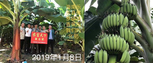 �������������ͺ���15-4-28�r(n��ng)������4