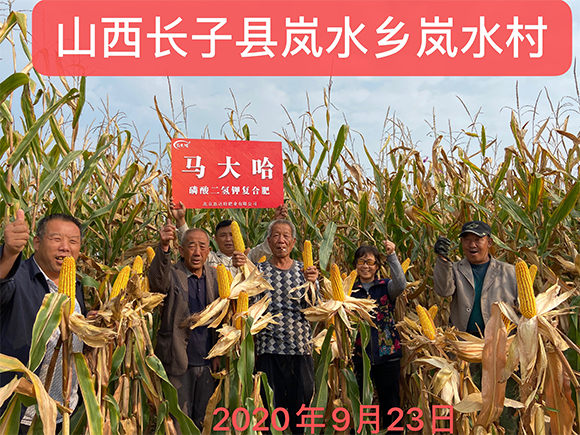 ���׌�(zhu��n)�����������͏�(f��)�Ϸʷ���25-10-16-�R���-�r(n��ng)������5