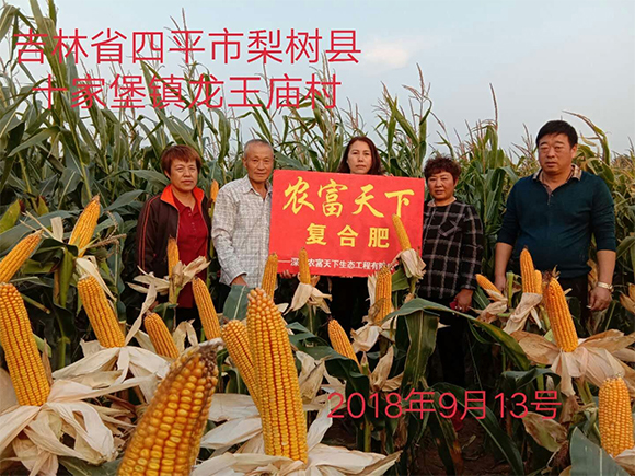 ���׌�������������ȫˮ�܏ͺϷ���28-6-6-�R���-�r������5