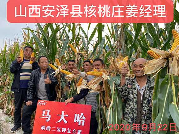 ���׌�(zhu��n)�����������͏�(f��)�Ϸʷ���25-10-16-�R���-�r(n��ng)������4