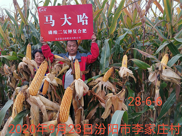 ���׌�(zhu��n)�����������͏�(f��)�Ϸʷ���25-10-16-�R���-�r(n��ng)������6