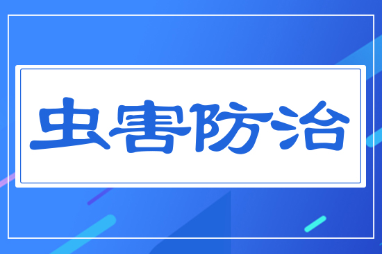 蟲(chóng)害防治
