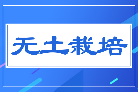 無土栽培