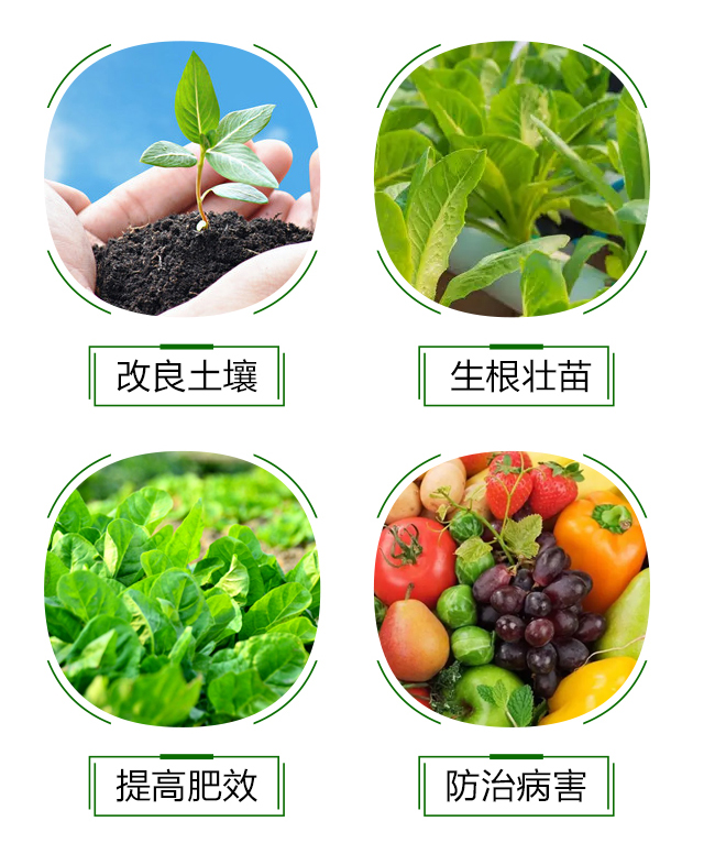 �VԴ�S�����-�\��I(l��ng)��_05