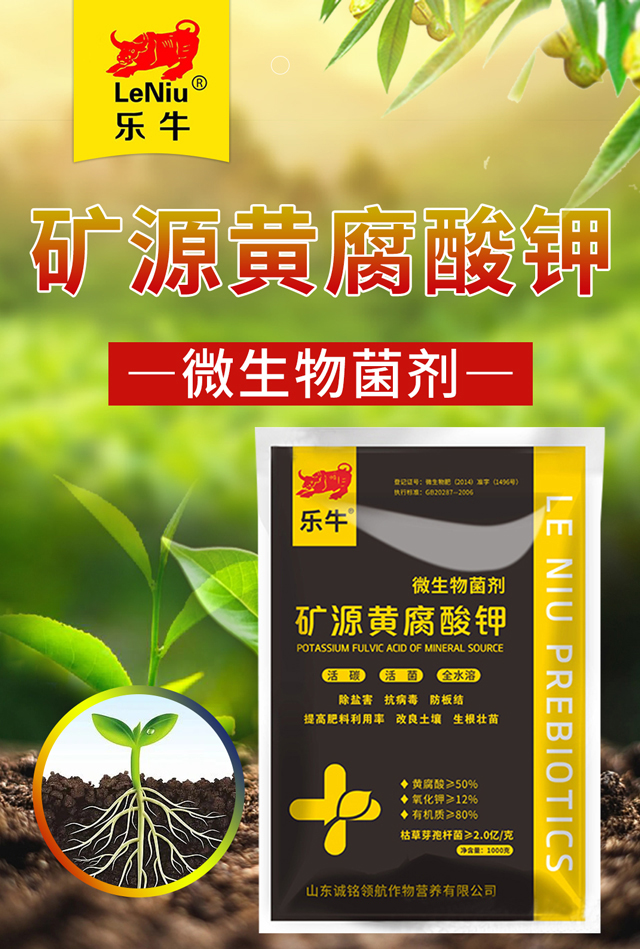 �VԴ�S�����-�\��I(l��ng)��_01