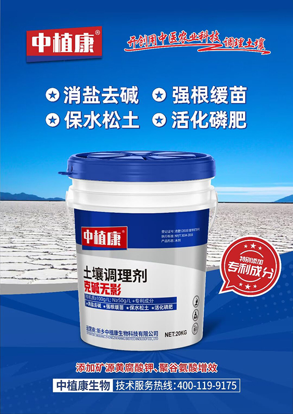 �����{(di��o)�턩-�ˉA�oӰ-��ֲ��