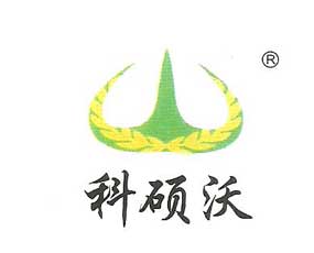 ����������P�S�ʘI(y��)���޹�˾