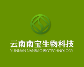 �����ό�����Ƽ�����؟�ι�˾