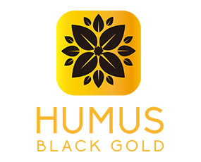 �W�޻���˼