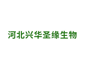�ӱ��d�Aʥ������Ƽ����޹�˾
