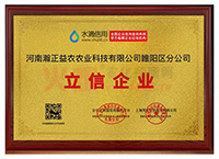 ������I(y��)