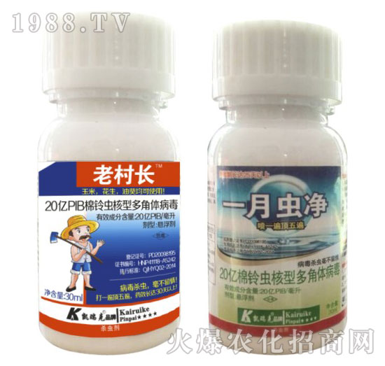 ����x(ch��ng)���Ͷ���w����-�ϴ��L(zh��ng)+һ�_��-�P���