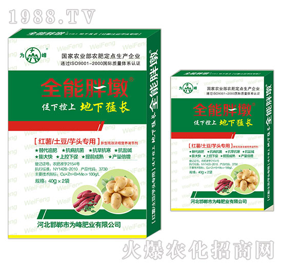 �t�������������^����-ȫ���ֶ�-���