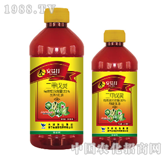 33%�������`-���״�-���{(l��n)