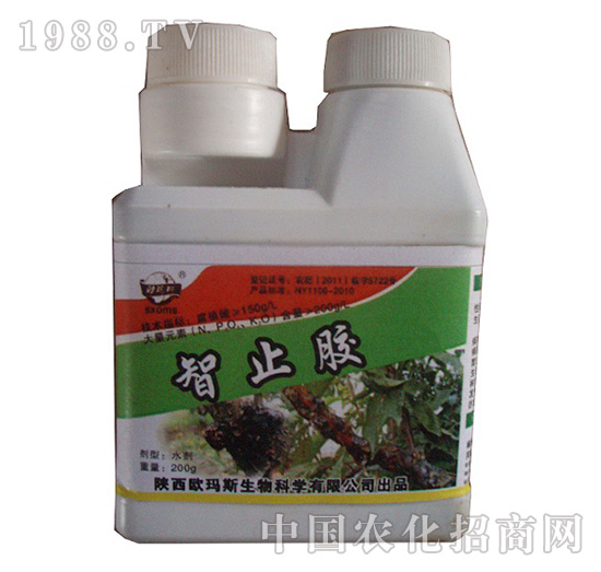 �J������ֹ�z-�W��˹