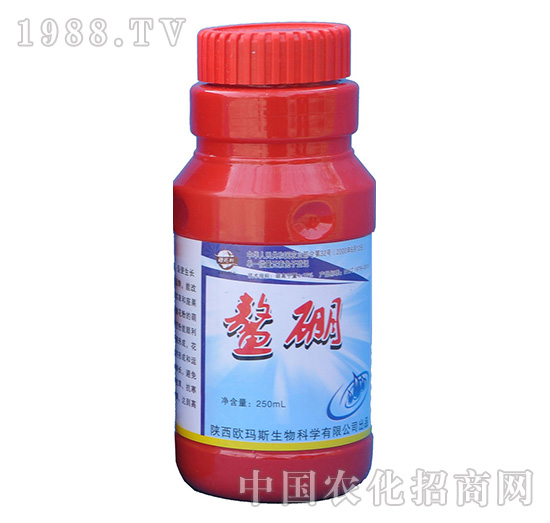 ����-�W��˹