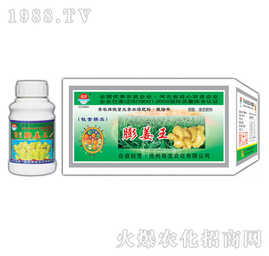 200g膨姜王-奇寶農化