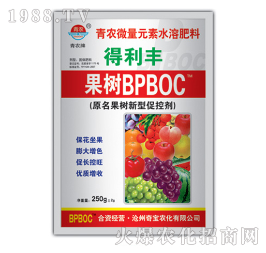 250g����ٿ؄�BPBOC-�挚�r(n��ng)��