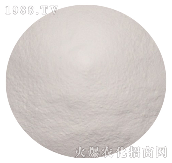 �Ҷ����������\�c-���_