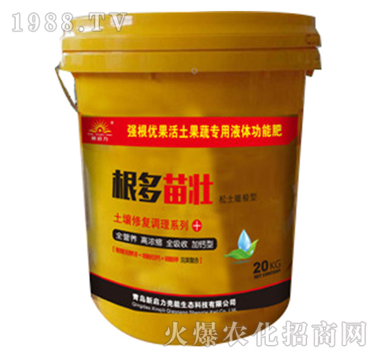 �������-�����ޏ��{��ϵ��-����