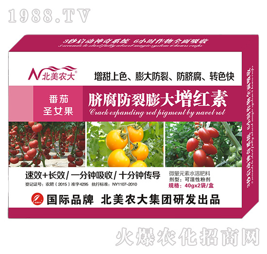 ����ʥŮ��Ě������������t��-�����r(n��ng)��