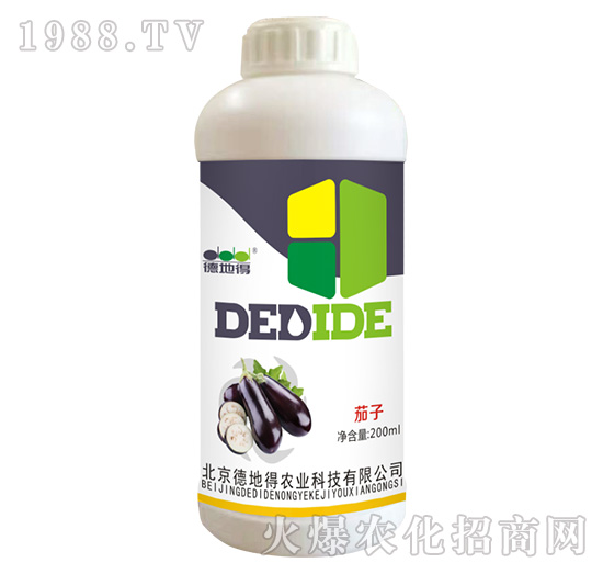 ���ӌ���-�µص�