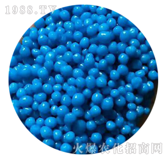 ��֬��Ĥ����2-����S