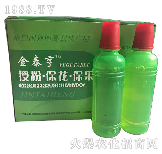 ��̩��-�ڷ۱���������