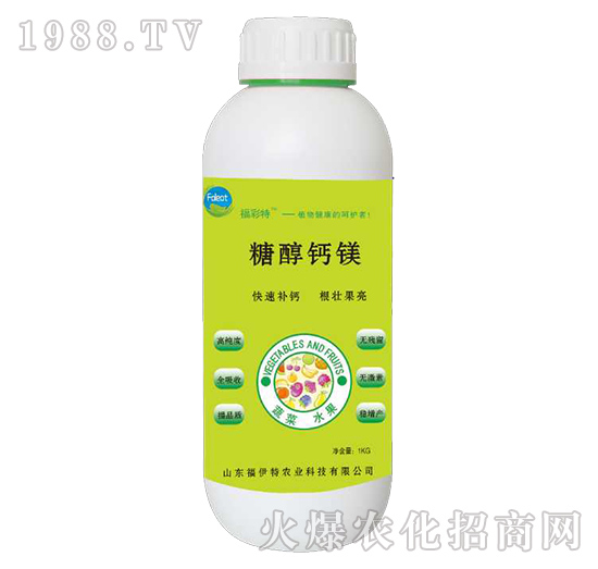 �Ǵ��}�V-������-������