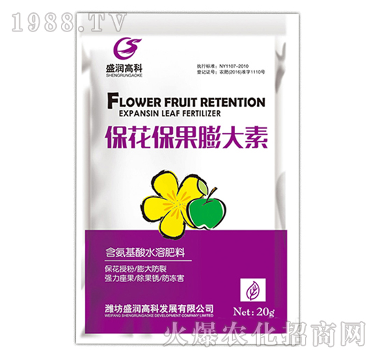 �������������-ʢ���߿�