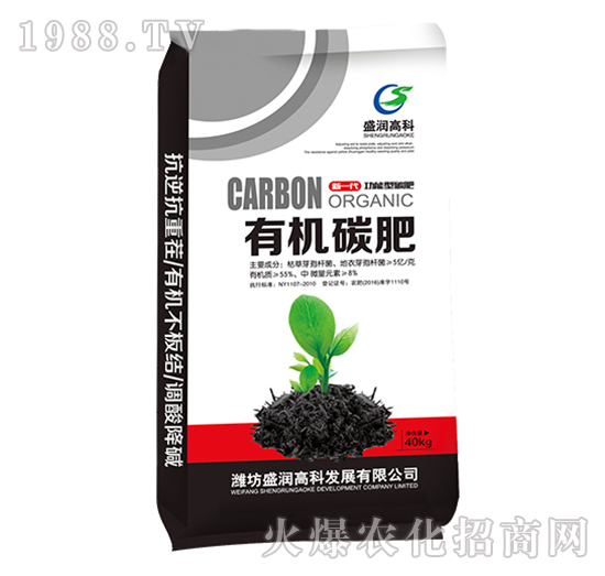 �ЙC̼��-ʢ���߿�