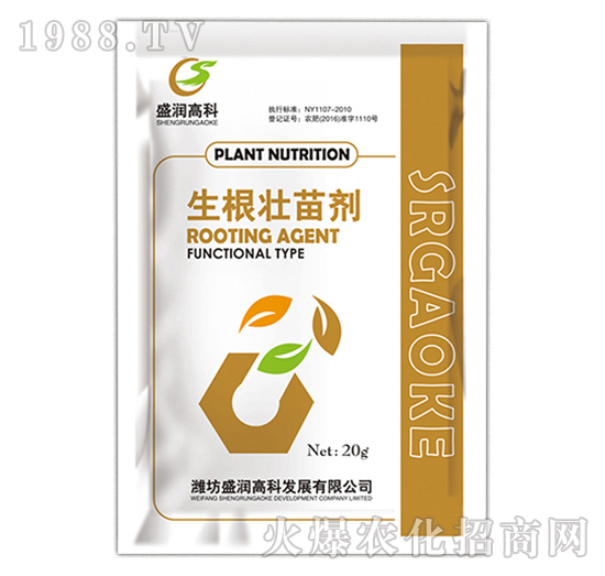 �������焩-ʢ��(r��n)�߿�