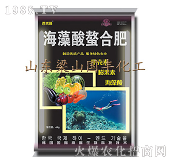 ���������Ϸ�-��ɽ��(gu��)�S