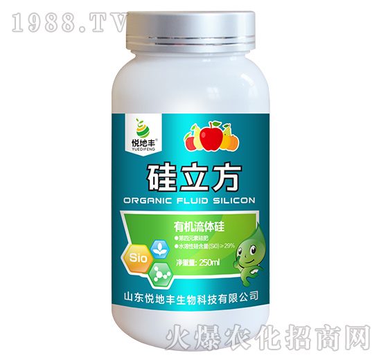 �ЙC���w��-������-�����S