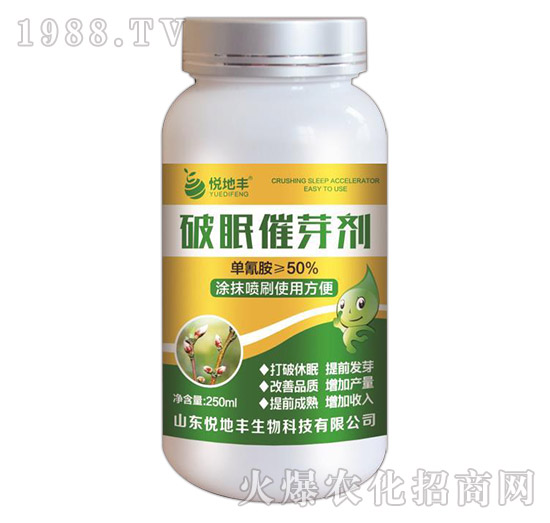 ��ѿ���߄�-�����S