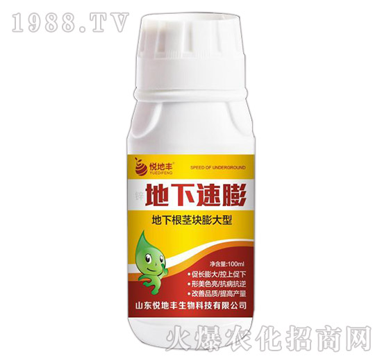 ���K�o�����-��������-�����S