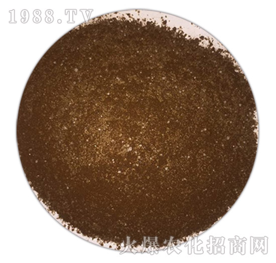 �������S�����-ꖹ⻯��