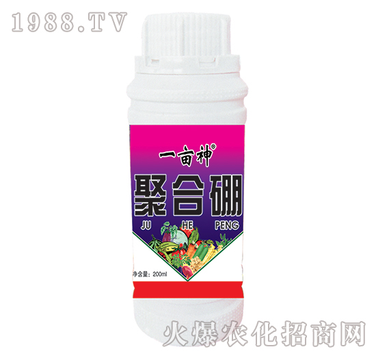 �ۺ���-һ����