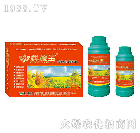 �Ͳ������տ����àI�B(y��ng)���a(ch��n)�{(di��o)�턩-�Ƶ�