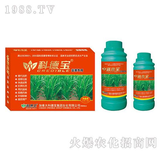 �²ˌ��àI�B(y��ng)���a(ch��n)�{(di��o)�턩-�Ƶ�