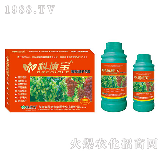 ���������ӌ��àI�B(y��ng)���a(ch��n)�{(di��o)�턩-�Ƶ�