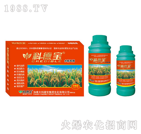 ˮ�����àI(y��ng)�B(y��ng)���a(ch��n)�{(di��o)�턩-�Ƶ�